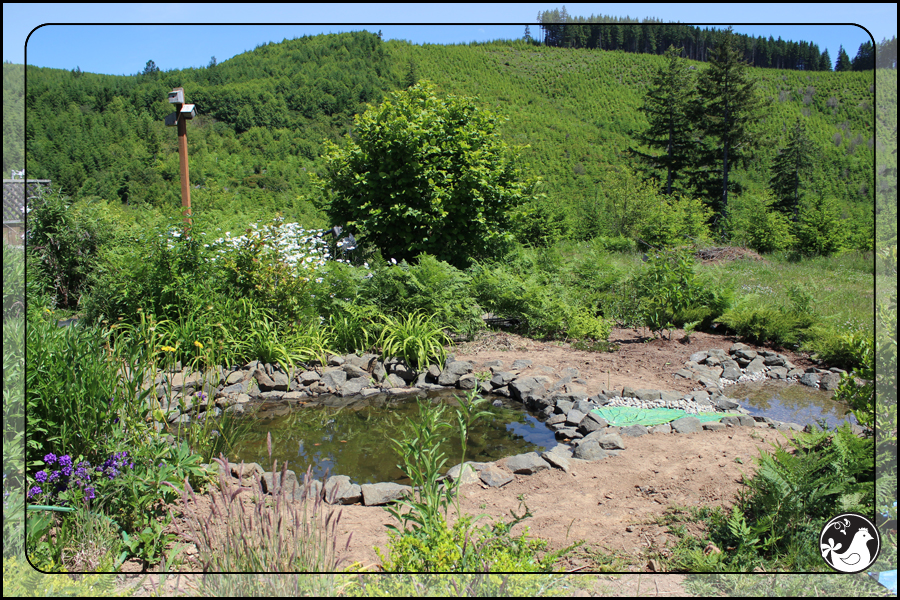 Ridgetop Farm and Garden | June 2014 Update