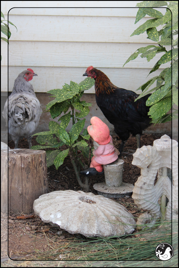 Ridgetop Farm and Garden | September 2014 Update