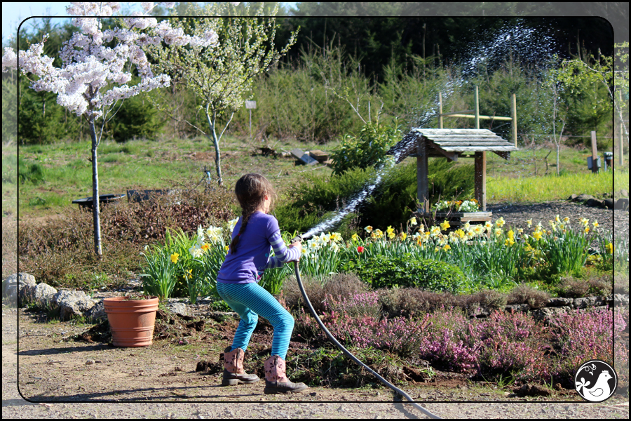 Ridgetop Farm and Garden | April 2014 Update