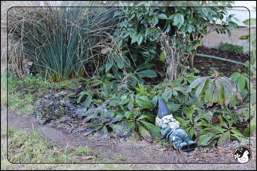 Ridgetop Farm and Garden | January 2014 Update