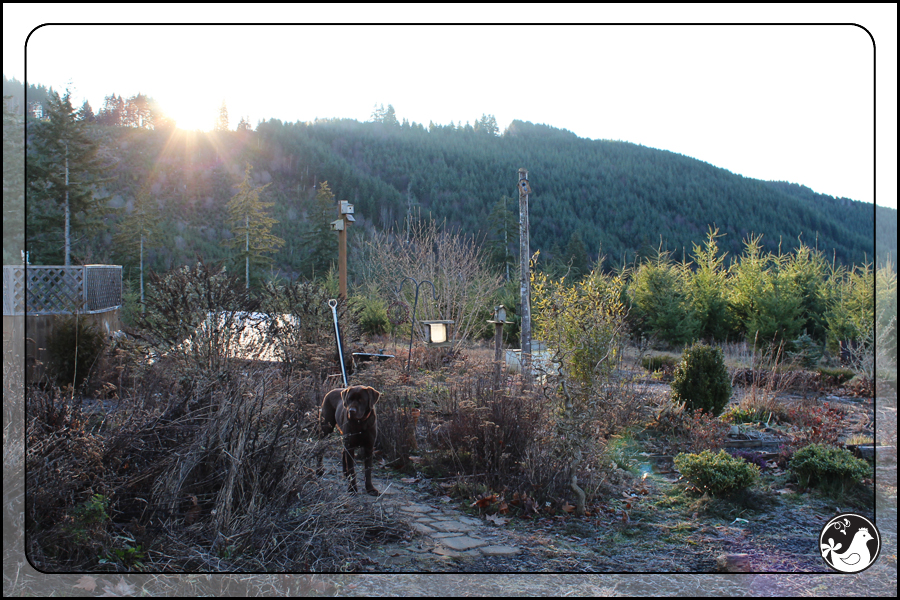 Ridgetop Farm and Garden | January 2014 Update