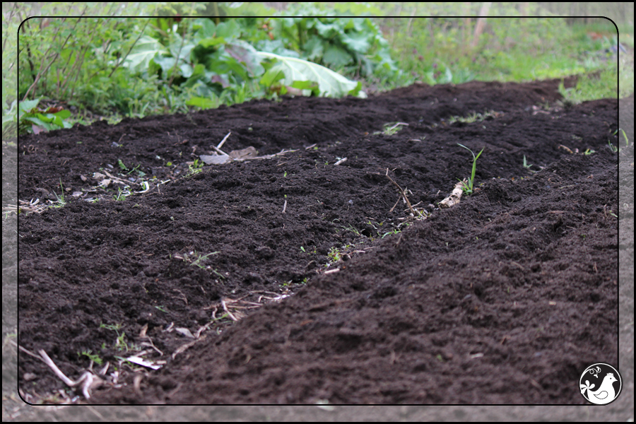 Ridgetop Farm and Garden | April 2014 Update