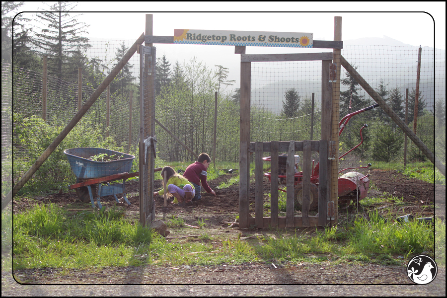 Ridgetop Farm and Garden | April 2014 Update