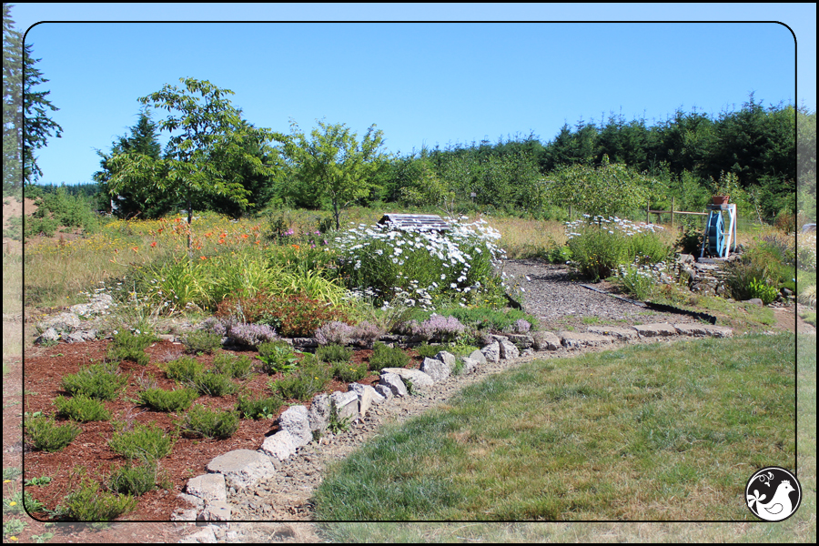 Ridgetop Farm and Garden | July 2014 Update