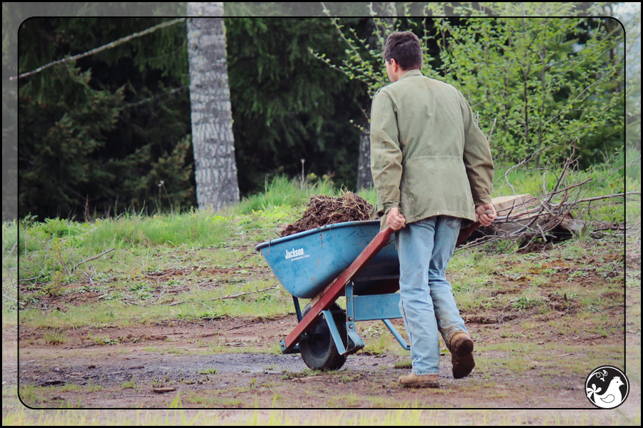 Ridgetop Farm and Garden | April 2014 Update