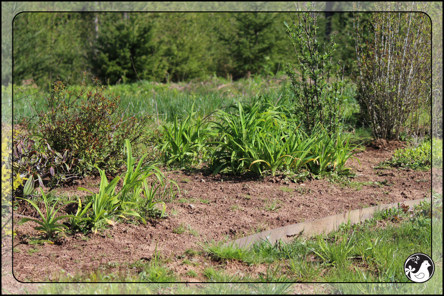 Ridgetop Farm and Garden | April 2014 Update