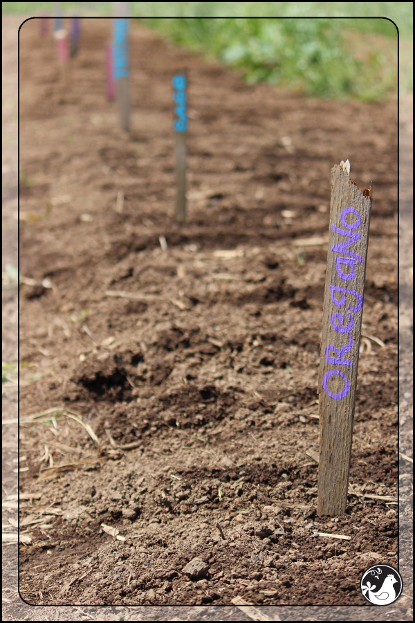 Ridgetop Farm and Garden | May 2014 Update