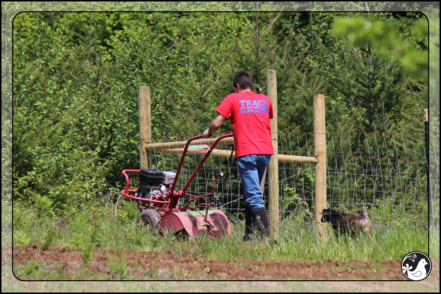 Ridgetop Farm and Garden | May 2014 Update