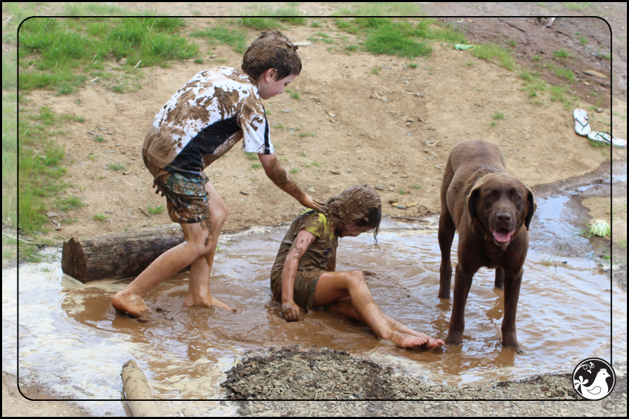 Ridgetop Farm and Garden | May 2014 Update