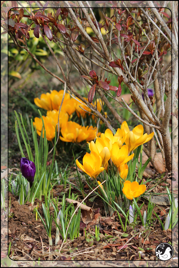 Ridgetop Farm and Garden | February 2014 Update