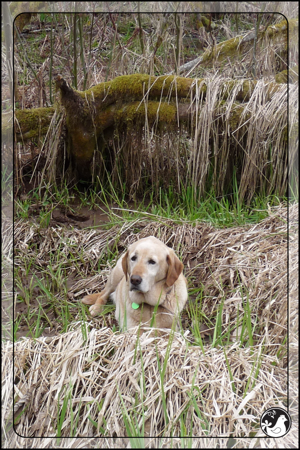 Ridgetop Farm and Garden | Saying Goodbye