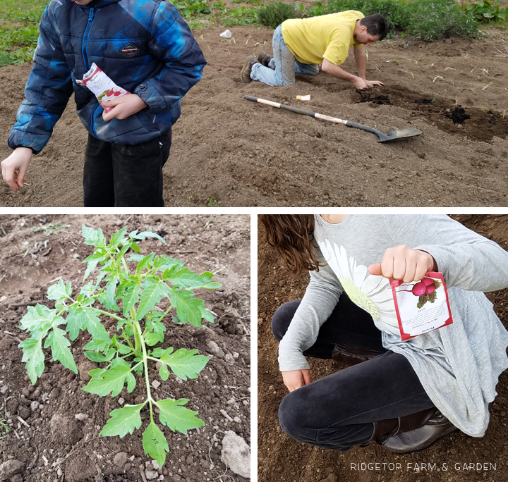 Ridgetop Farm and Garden | How Our Garden Grows | April 2016