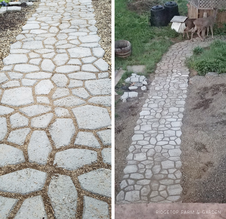 Ridgetop Farm and Garden | DIY Concrete Path |Walkmaker Form