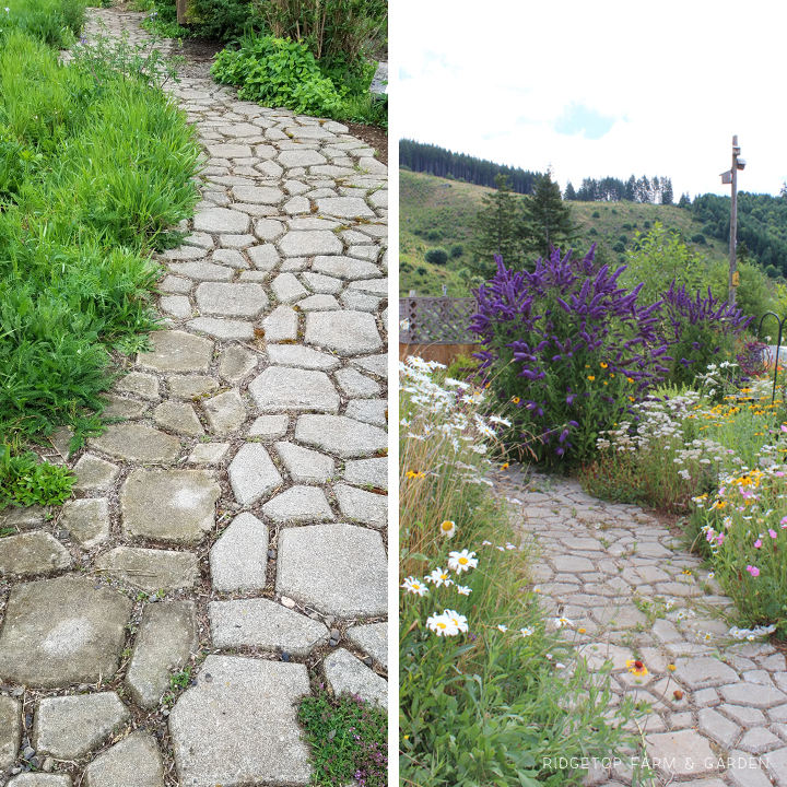 Ridgetop Farm and Garden | DIY Concrete Path |Walkmaker Form