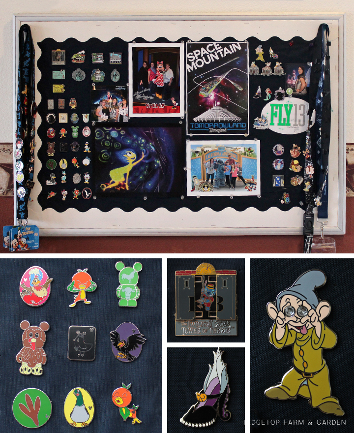 Ridgetop Farm and Garden | Disney Gallery Wall | Pin and Photo Display