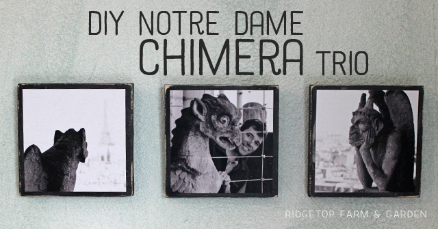 Ridgetop Farm and Garden | Notre Dame Chimera Trio | Photo Craft