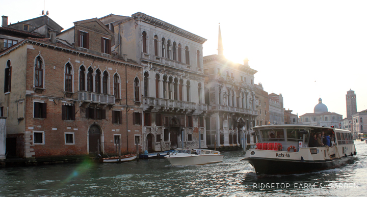 Ridgetop Farm and Garden | Travel | Venice | Italy | Europe