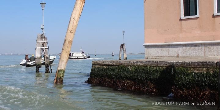 Ridgetop Farm and Garden | 2015 European Vacation | Venice | Murano Island