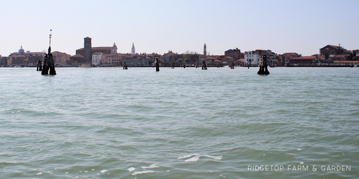 Ridgetop Farm and Garden | 2015 European Vacation | Venice | Murano Island