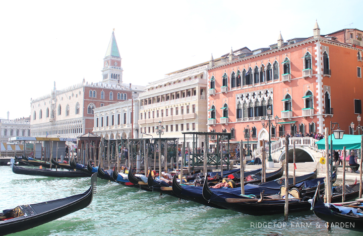 Ridgetop Farm and Garden | 2015 European Vacation | Venice | Murano Island