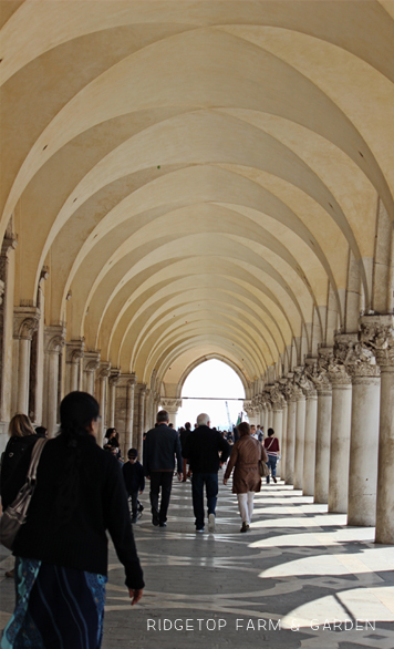 Ridgetop Farm and Garden | Travel | St. Mark's Square | Venice | Italy | Europe