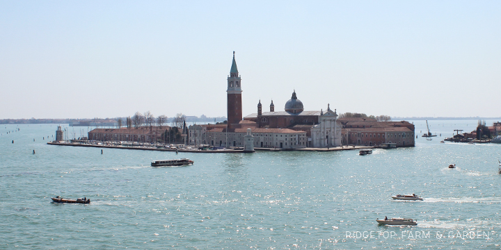 Ridgetop Farm and Garden | Travel | St. Mark's Square | Venice | Italy | Europe