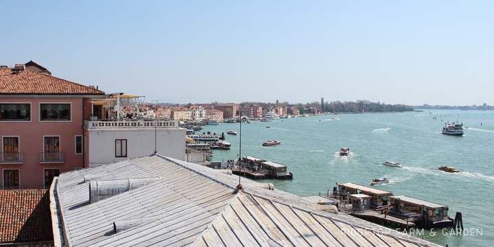 Ridgetop Farm and Garden | Travel | St. Mark's Square | Venice | Italy | Europe