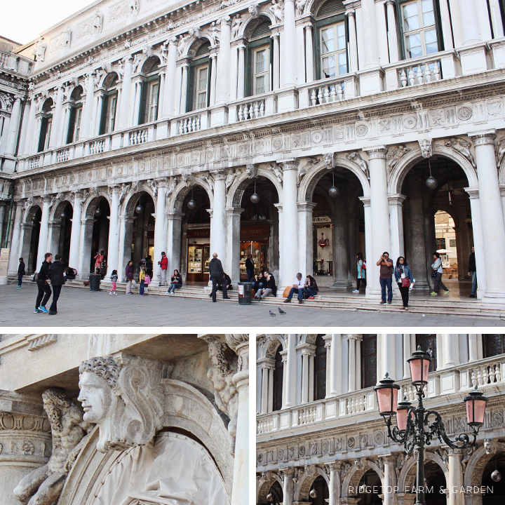 Ridgetop Farm and Garden | Travel | St. Mark's Square | Venice | Italy | Europe