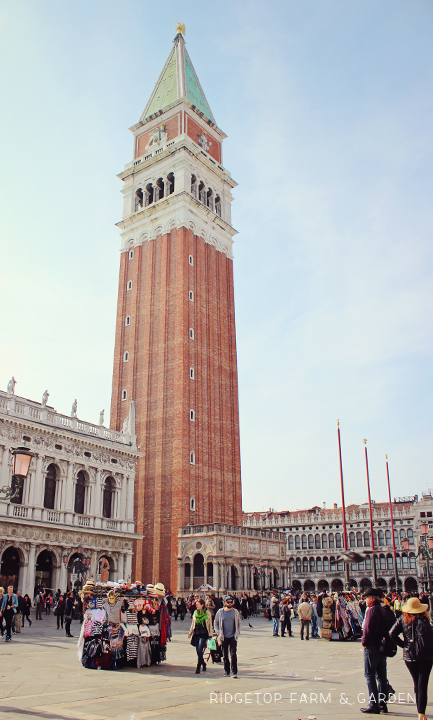 Ridgetop Farm and Garden | Travel | St. Mark's Square | Venice | Italy | Europe