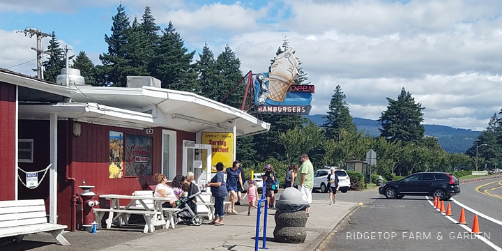 Ridgetop Runner | Bridge of the Gods 2016 | Half Marathon | Race Recap