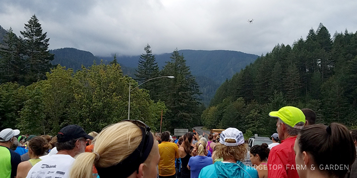 Ridgetop Runner | Bridge of the Gods 2016 | Half Marathon | Race Recap