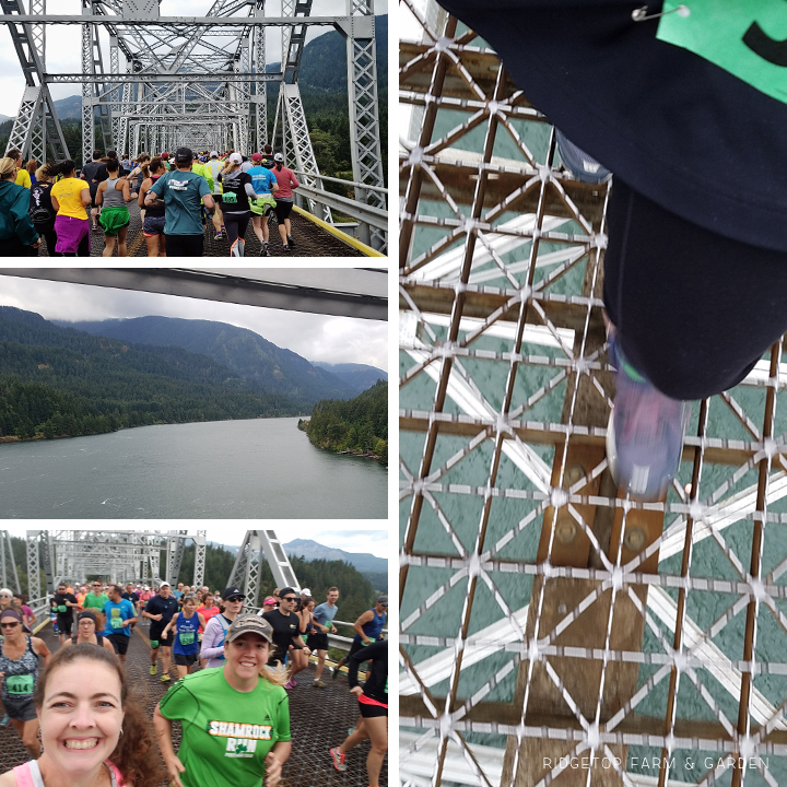 Ridgetop Runner | Bridge of the Gods 2016 | Half Marathon | Race Recap