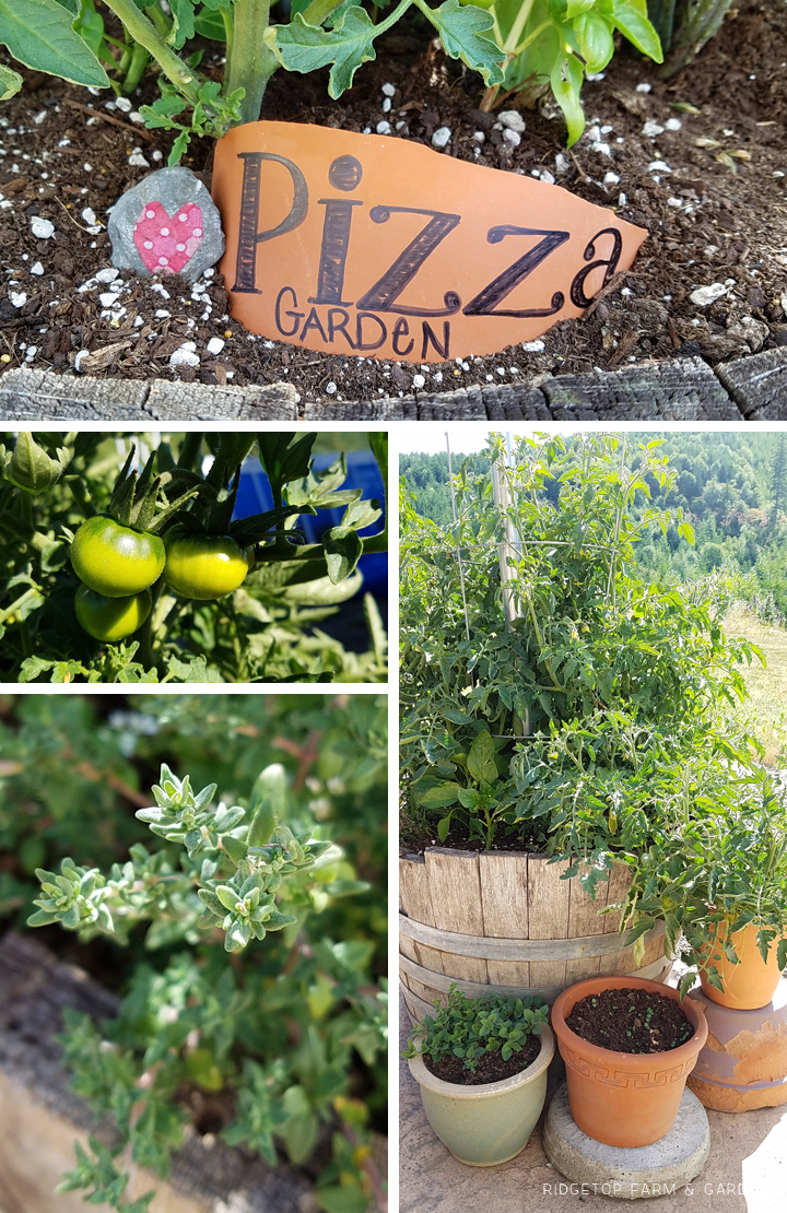 Ridgetop Farm and Garden | Project Repurpose | Herb Barrel from Water Fountain | Pizza Garden