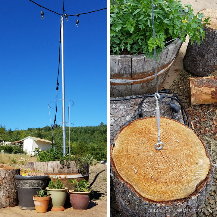 Ridgetop Farm and Garden | Project Repurpose | Herb Barrel from Water Fountain