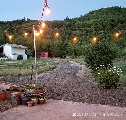 Ridgetop Farm and Garden | Project Repurpose | Herb Barrel from Water Fountain