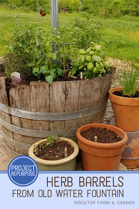 Ridgetop Farm and Garden | Project Repurpose | Herb Barrel from Water Fountain