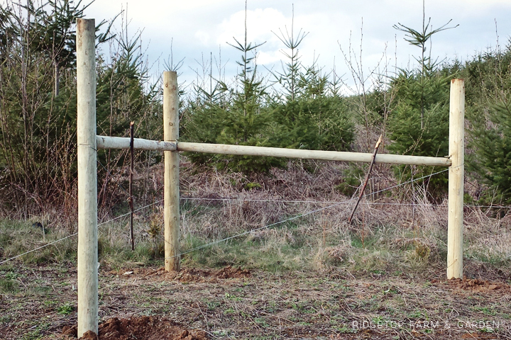 Ridgetop Farm and Garden | Instaling our Goat Fence