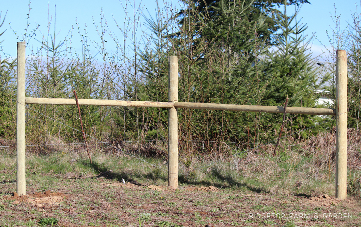 Ridgetop Farm and Garden | Instaling our Goat Fence