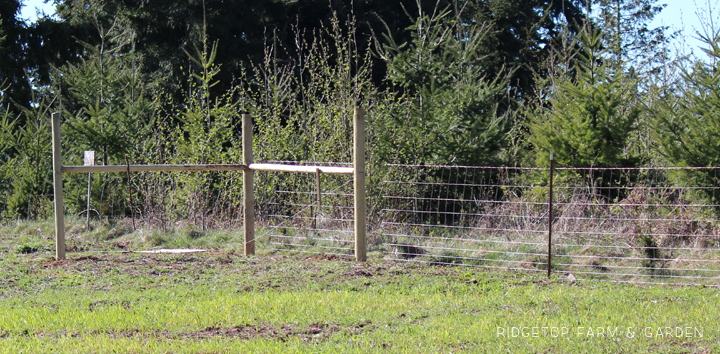 Ridgetop Farm and Garden | Instaling our Goat Fence