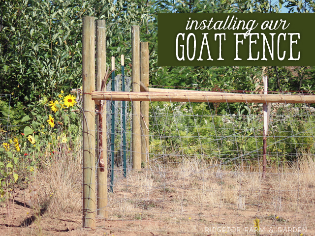 Ridgetop Farm and Garden | Instaling our Goat Fence