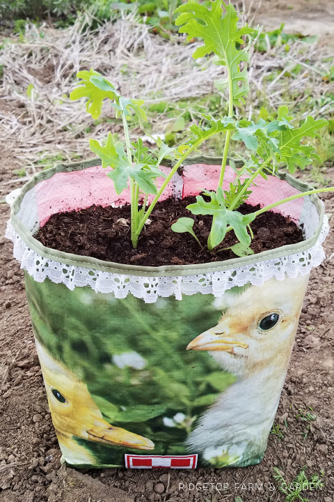 Ridgetop Farm and Garden | DIY | Feed Sack to Herb Bag