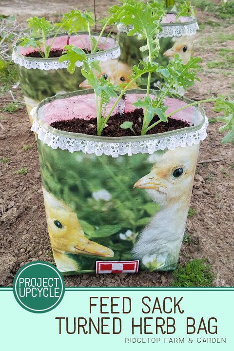 Ridgetop Farm and Garden | DIY | Feed Sack to Herb Bag