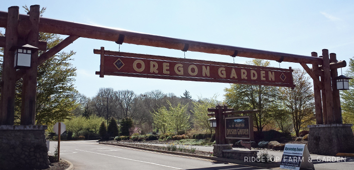 Ridgetop Farm and Garden | Oregon Garden