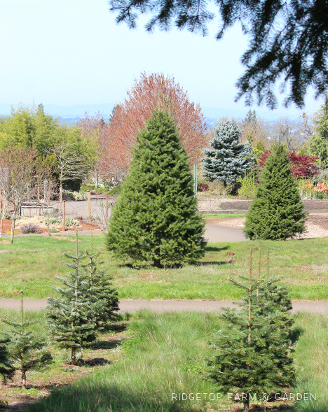 Ridgetop Farm and Garden | Oregon Garden