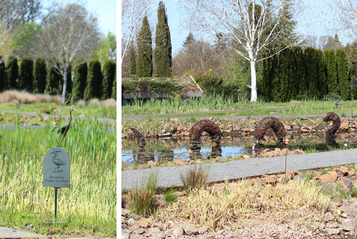 Ridgetop Farm and Garden | Oregon Garden