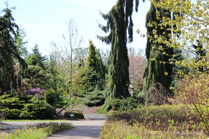 Ridgetop Farm and Garden | Oregon Garden