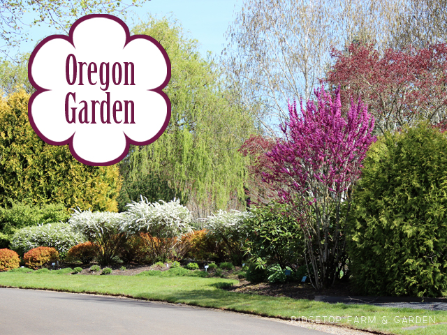 Ridgetop Farm and Garden | Oregon Garden