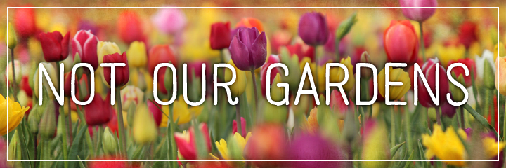 Ridgetop Farm and Garden | Flower Gardens | Not Our Gardens