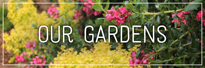 Ridgetop Farm and Garden | Flower Gardens | Our Gardens