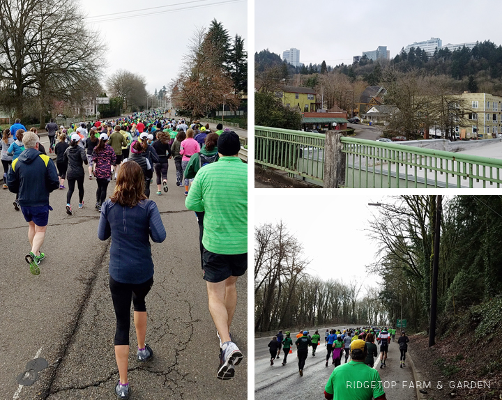 Ridgetop Farm and Garden | Ridgetop Runner | 2017 Race Recap | Shamrock Run | 15K